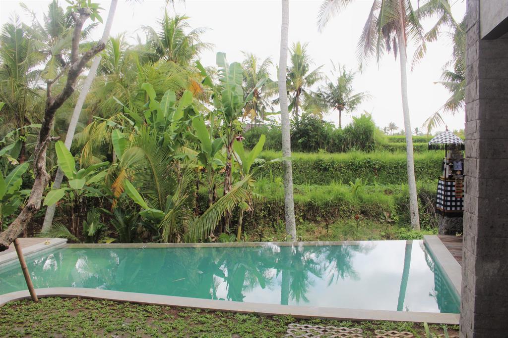 Ila Villa Ubud Kültér fotó